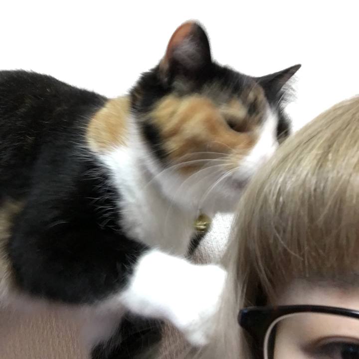 B2987a3f c60a 4a57 87e9 fb66740be891