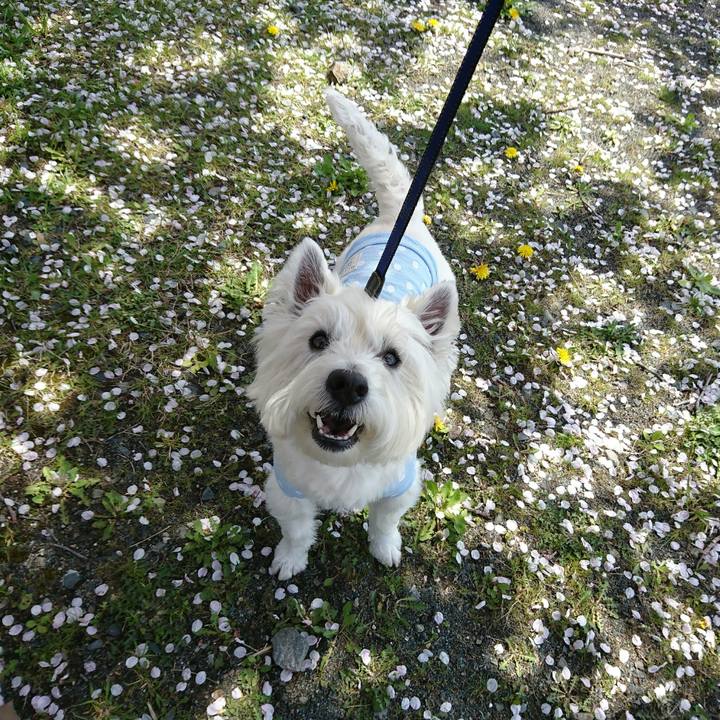 B298ab42 ffd4 411b 9569 3c46f3f59087