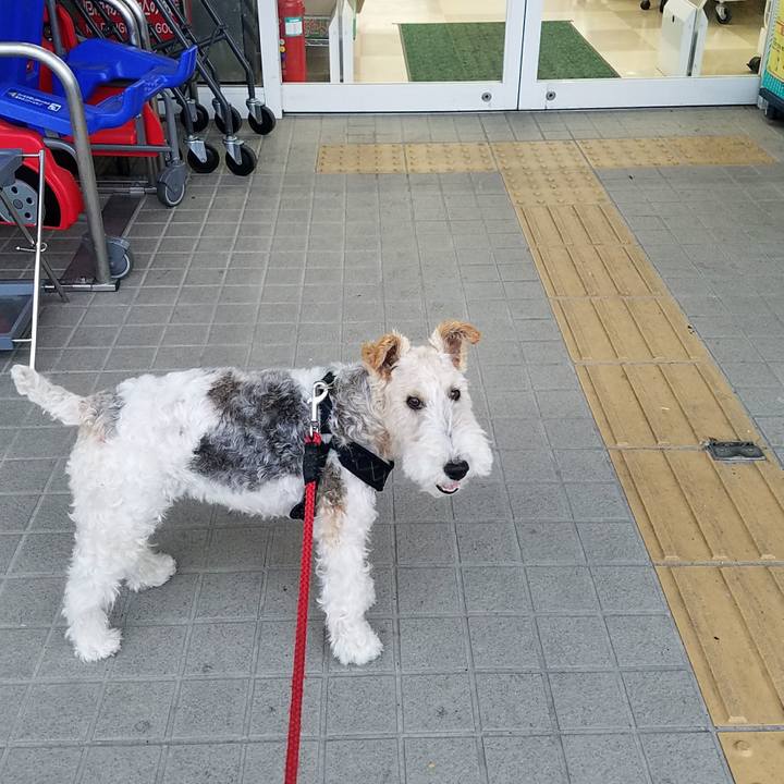 B29909e9 e0a6 462a b8d0 7accec80b48e