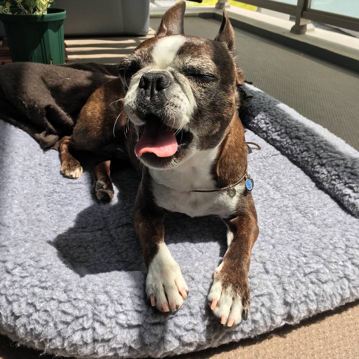 B29929c0 8d20 4e78 8a32 1344b4704d26