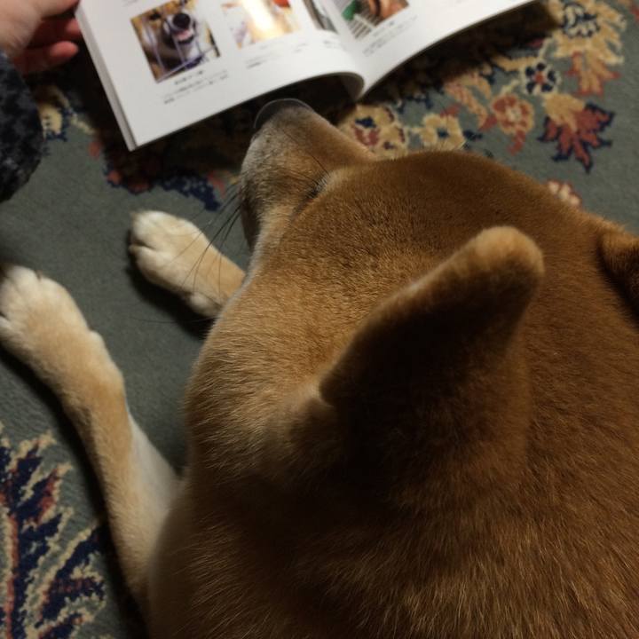 B29a53ef 916c 4131 9d60 9ba4a318519f