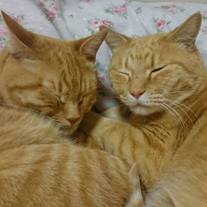 B29aba32 60c5 45b7 a41b 13ed7da06be7