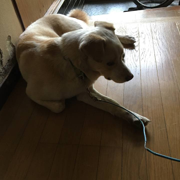 B29afbf4 1479 4863 96fa 803bddfda74b