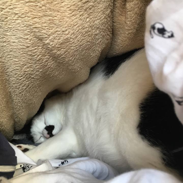 B29b5b07 7d5a 4706 bee0 8a7de98569a0