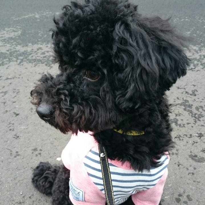 B29b66a9 62e0 42f7 ba0b a4d2b939d9bc