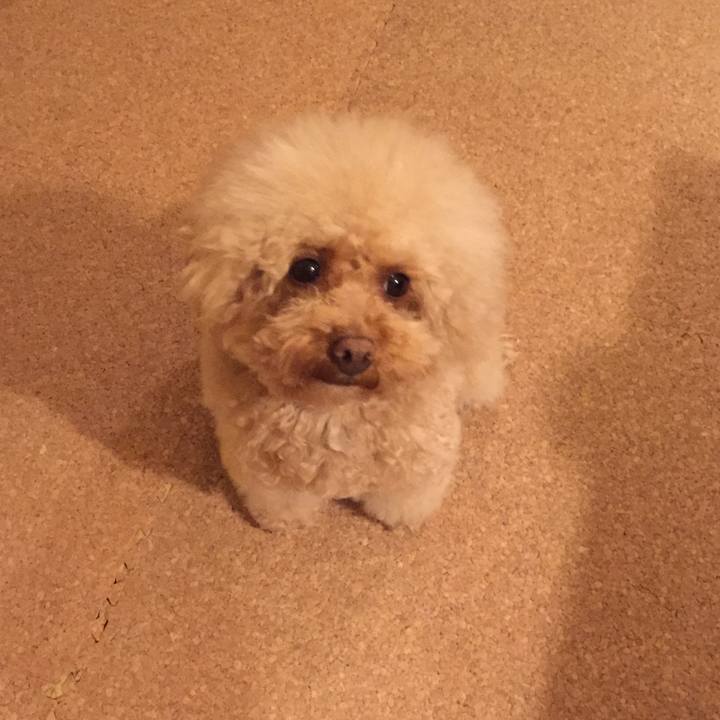 B29b8d3d 9a9d 4f8d a324 821693a457a1