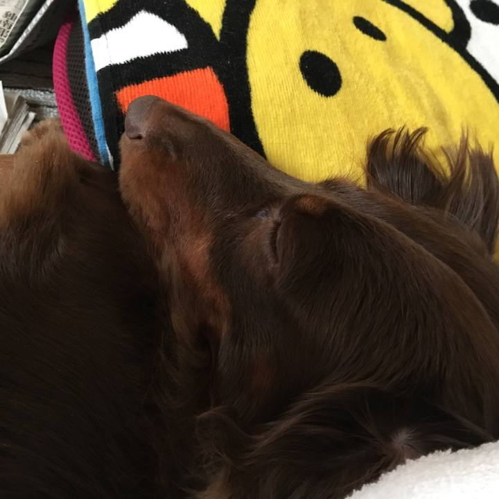 B29ba900 5e9e 4d4d b1d9 72d377691485