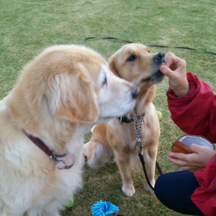 B29c9190 be2b 43d1 8169 ffc195526ac9