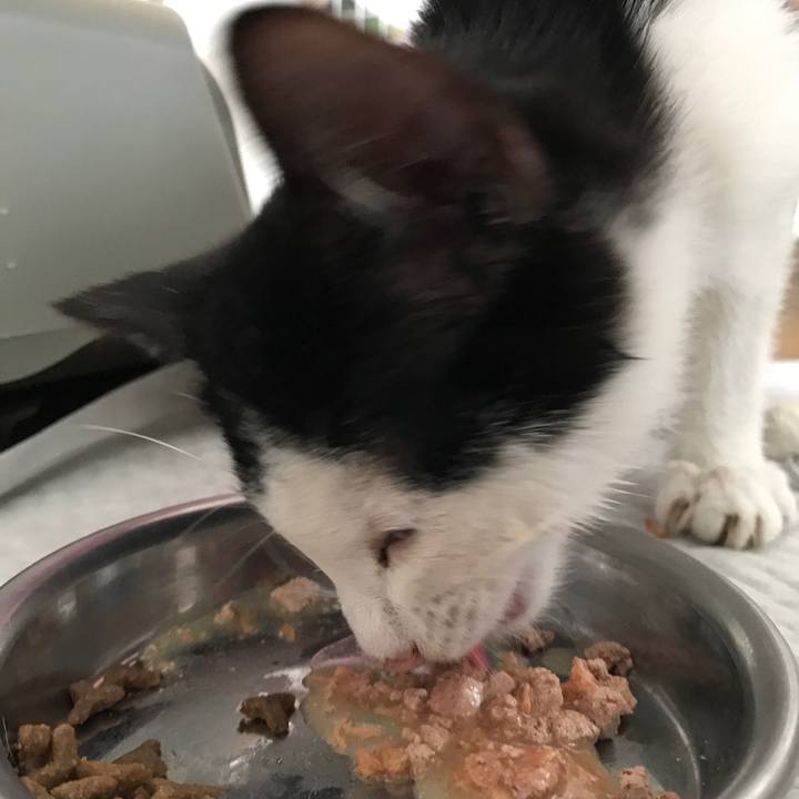 B29cca9d 45d7 450e 8481 223e3bf7d4c9