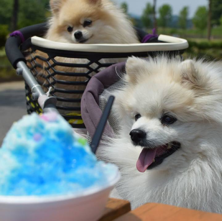 B29d2c04 df97 4e27 90e0 d66d8d9f7ea2