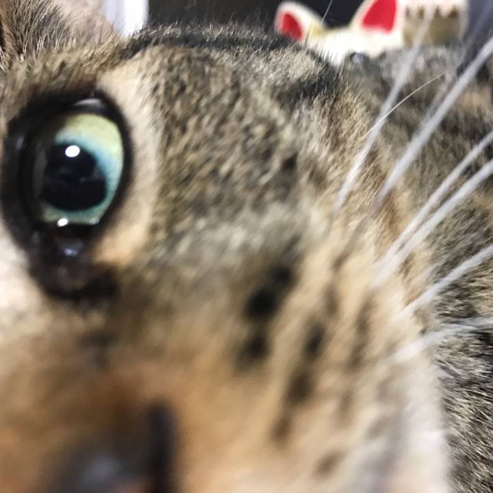 B29d8d6b 3cea 4b7c a891 36e3304635b1