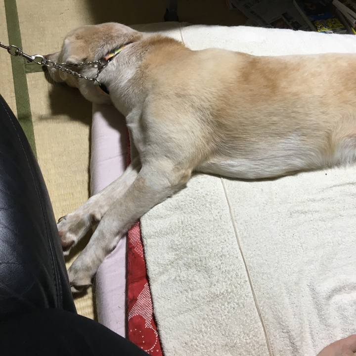 B29d9e74 8ee2 4b39 a0a3 eaaf18422213