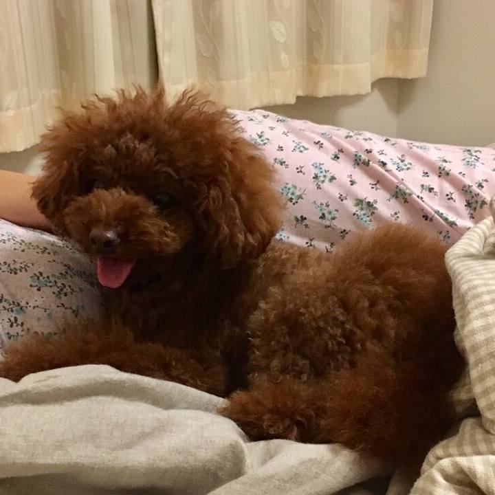 B29dc2aa 6d5d 4e10 95ef 0959cb206f19