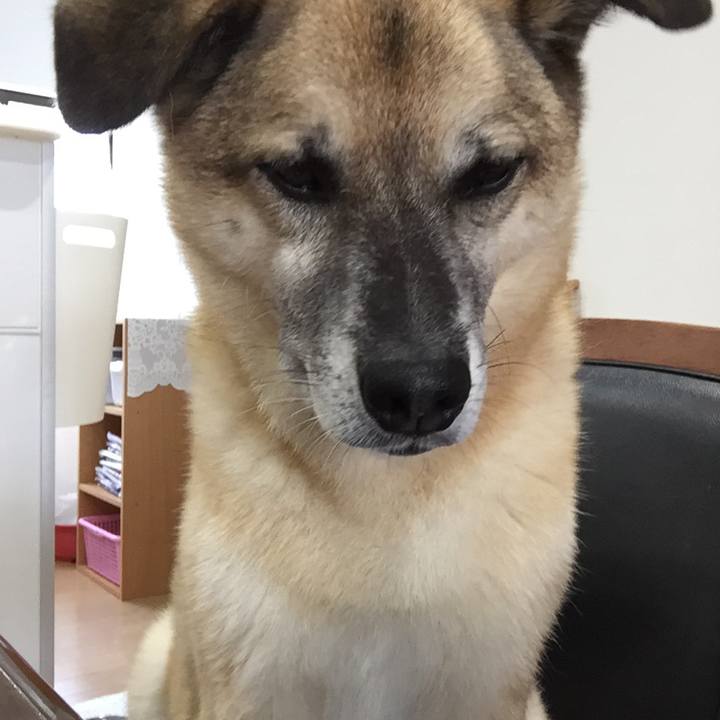 B29ec2bd 4e87 4a06 ac56 a309dd72ce7b