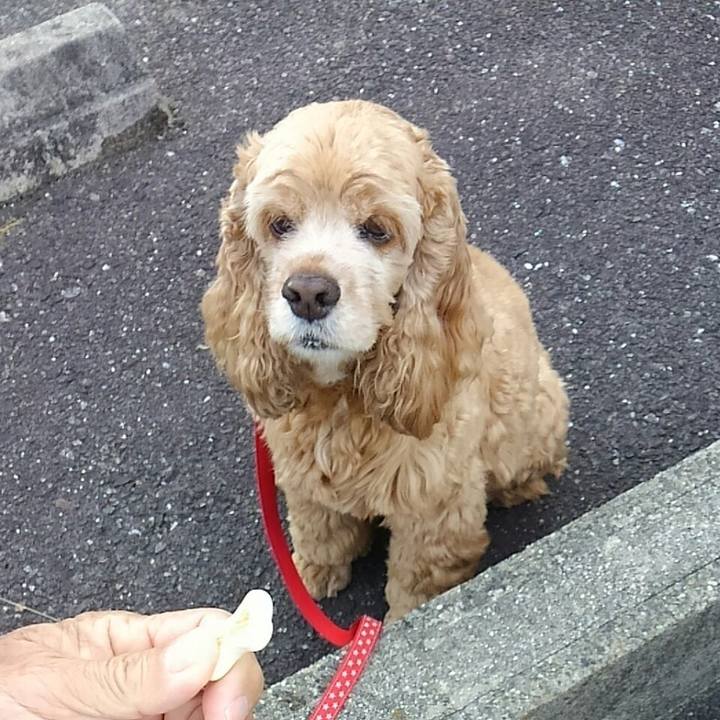 B29ef799 409b 490e bc2c 9a8ddd96b806