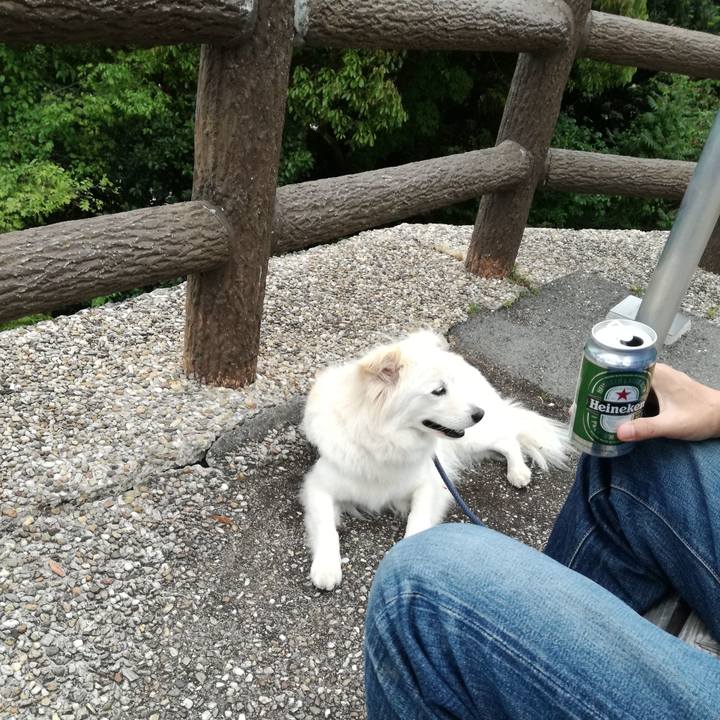 B29f0a71 fbb0 4ef9 81f8 5fe6f8dc14bd