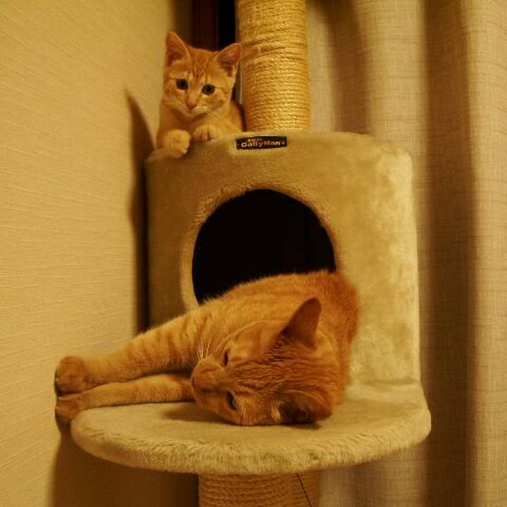 B29f0ff1 afbd 4ea5 830e 10737e066b28