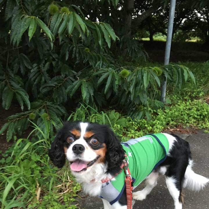 B2a02e31 7349 4e96 a2be f915dde0a90c