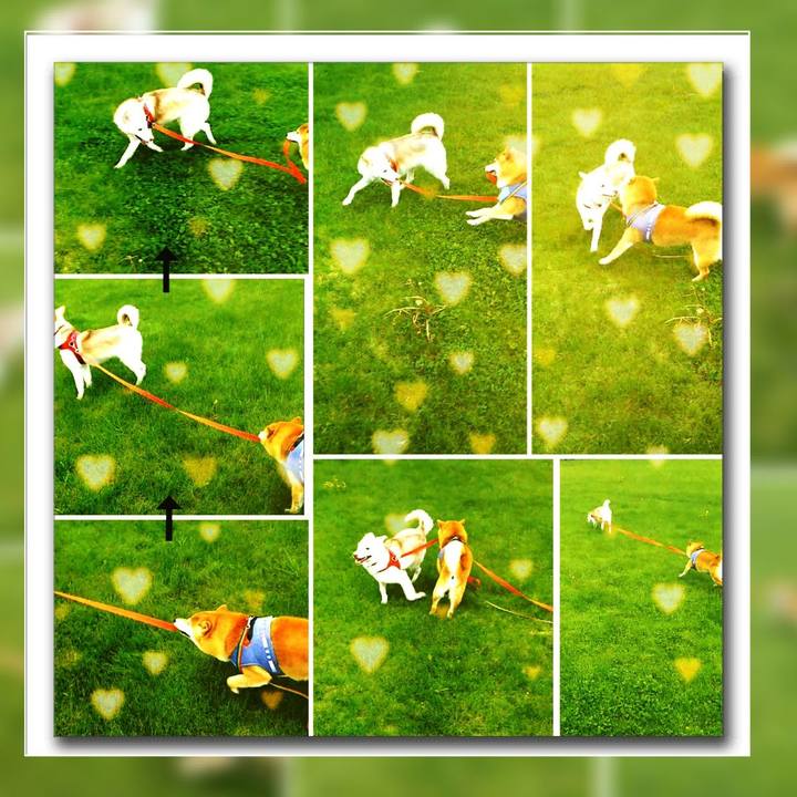 B2a03a80 4093 4599 b681 7bafc6ed9858