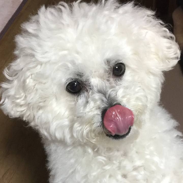 B2a0ae82 c29b 4631 b782 7f7e7004d4b1