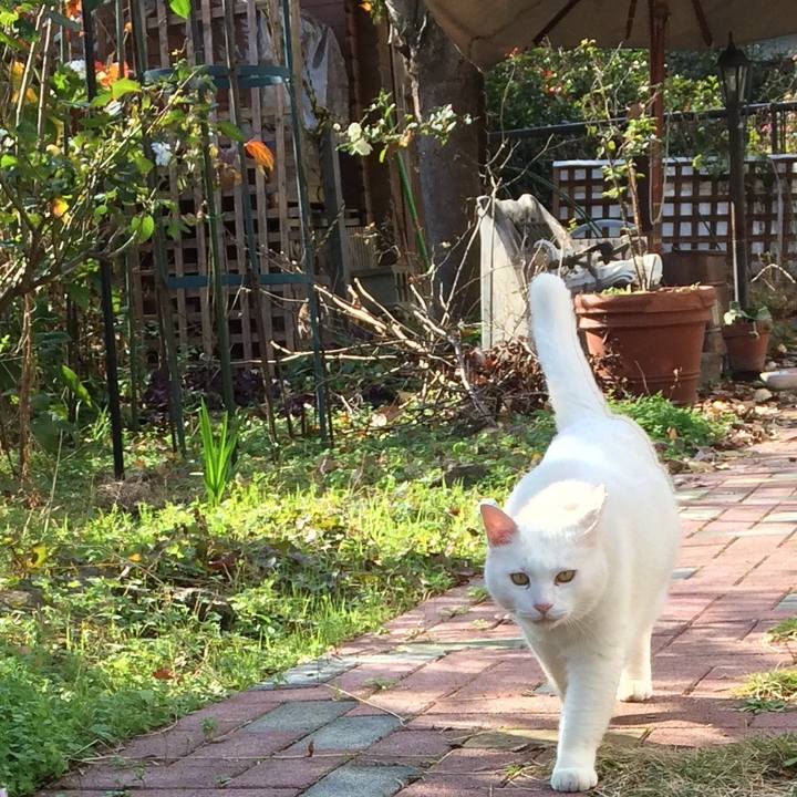 B2a0db82 746a 4eee b75e 425163c74390