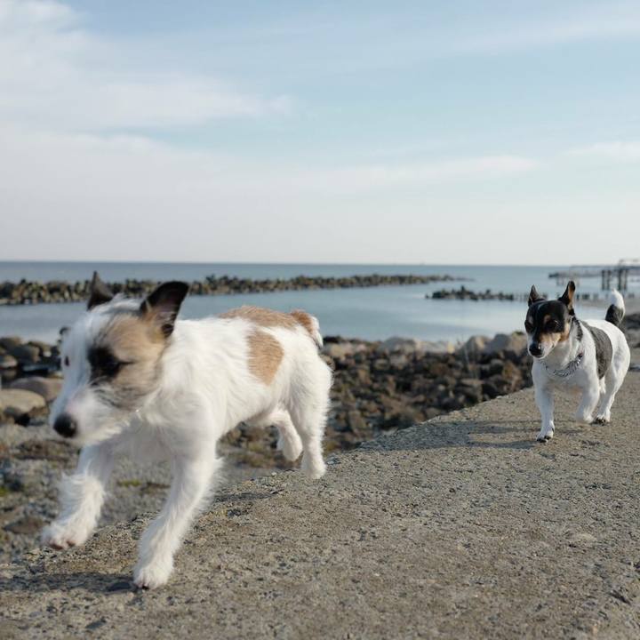 B2a0f13e d3d6 469b 9610 87ffc5197ca8