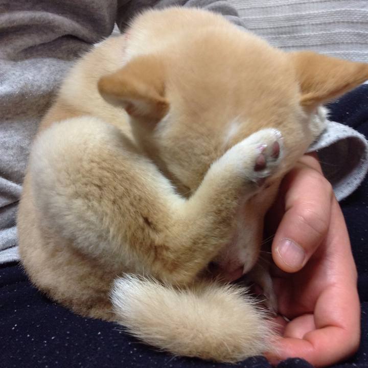 B2a10670 2b5c 4950 a569 a887878b6beb