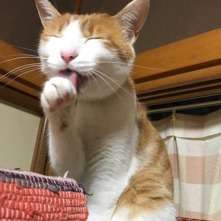 B2a1becb 880a 4880 82fb fbe96dfb70b6