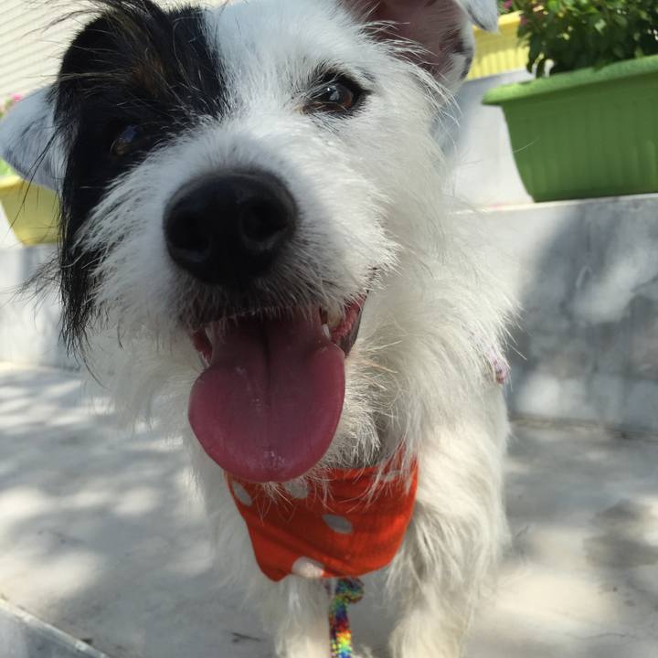 B2a21d8b 33bd 44b0 9d12 ee92b0be30a1