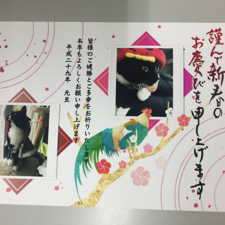 B2a224f1 53c6 49b0 8576 87793a8e1efd