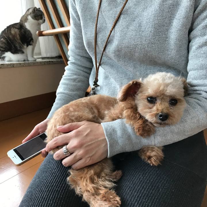 B2a2d608 4e16 4095 8280 c110110de8f1