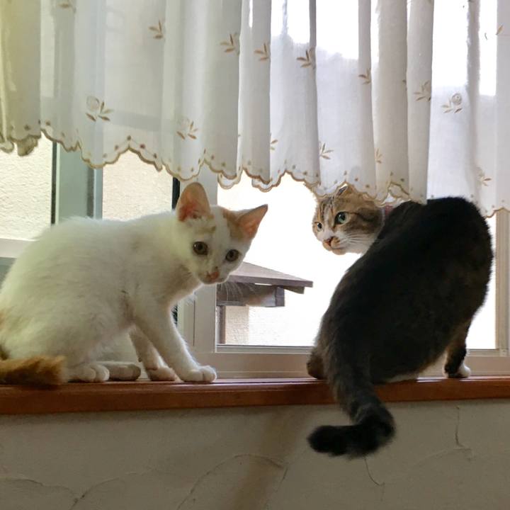 B2a3f224 68c0 4f75 8565 68de1ebec4a4