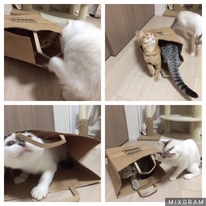 B2a3fa52 a9fb 4d9a a261 4f1ed730d135