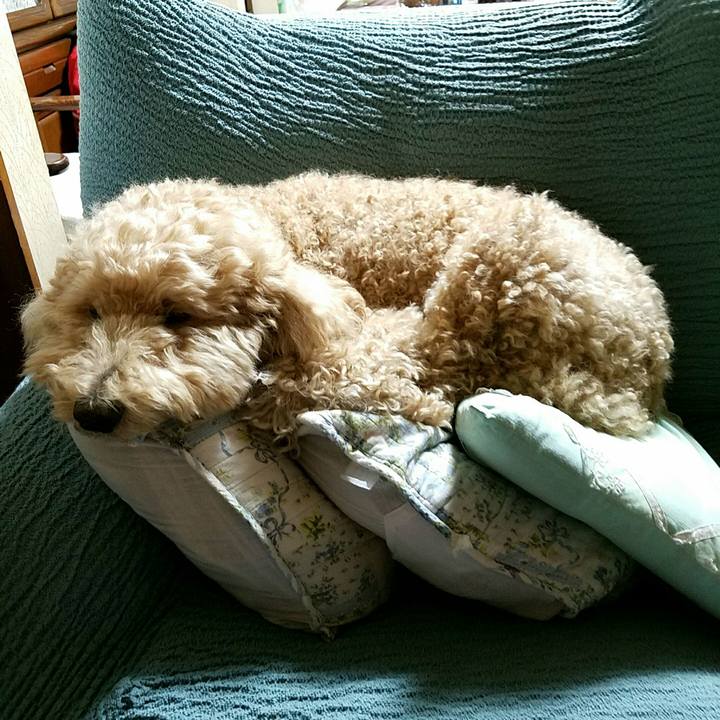 B2a42f38 4a4b 40e8 9ba9 3ec9e0b692f9