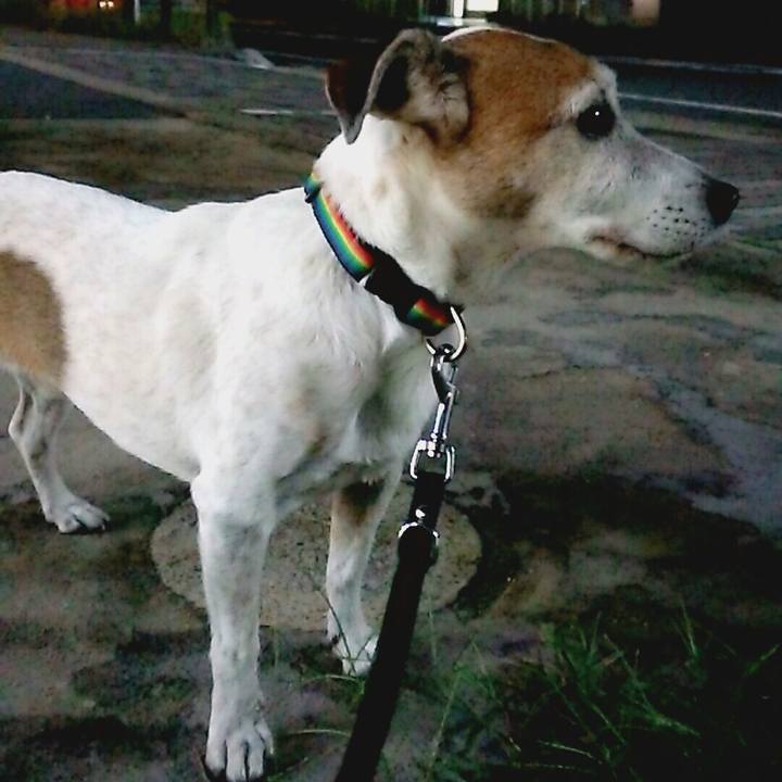 B2a64c89 ee94 45e3 990a 8590058d0e20