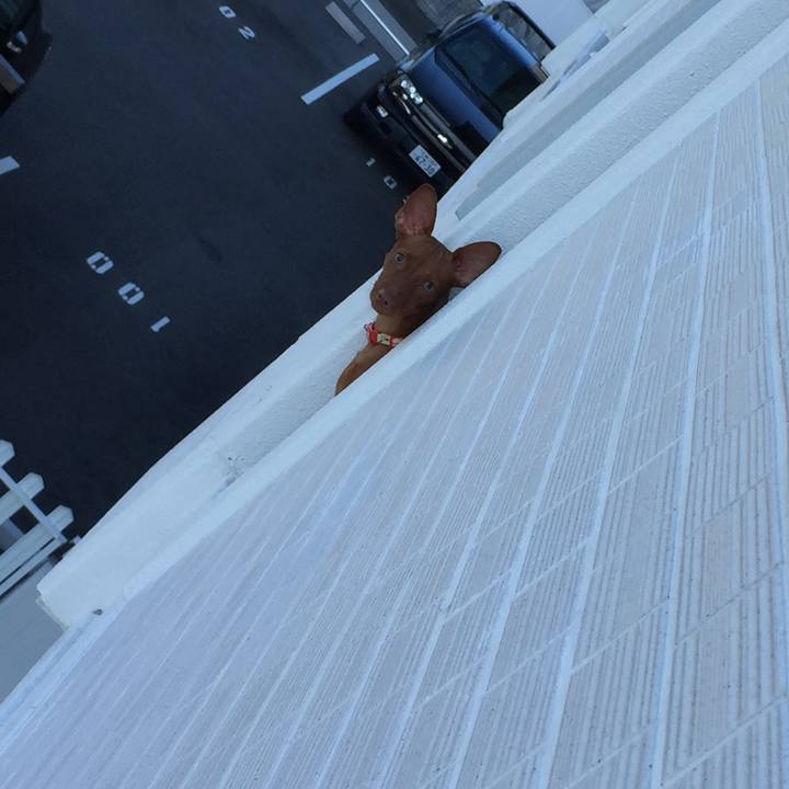 B2a68dd4 0322 4640 9fa5 c6a7a0a8b8ba