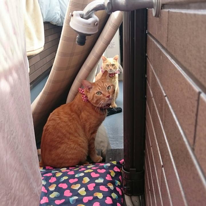 B2a6b306 9802 4c06 8252 619d517edd31