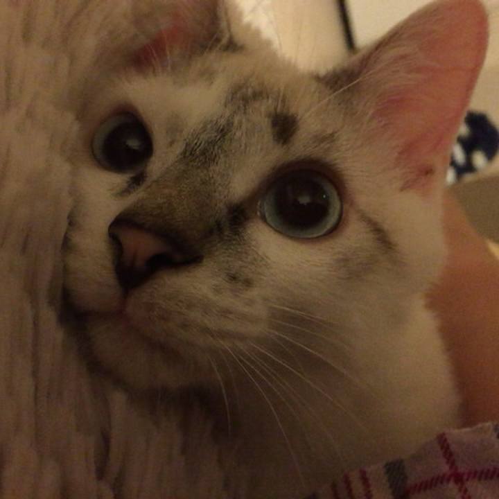 B2a6fe36 6b5f 4076 aba3 e427611e62b6