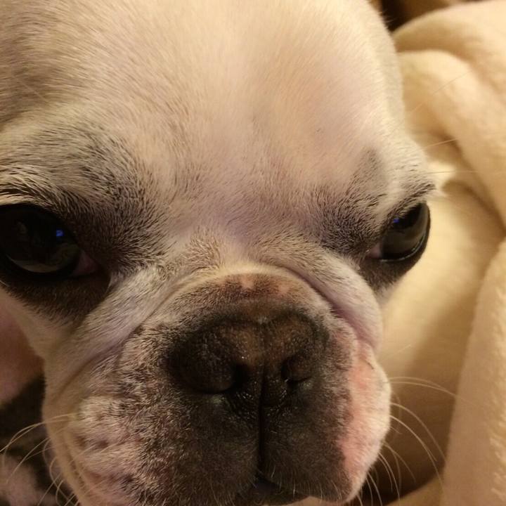 B2a73888 a38f 431a 86b5 a487a89a2c79