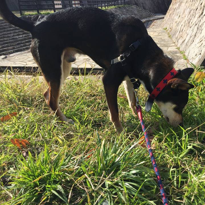 B2a74b80 60d6 45f0 9a7e 4d84269b94ad