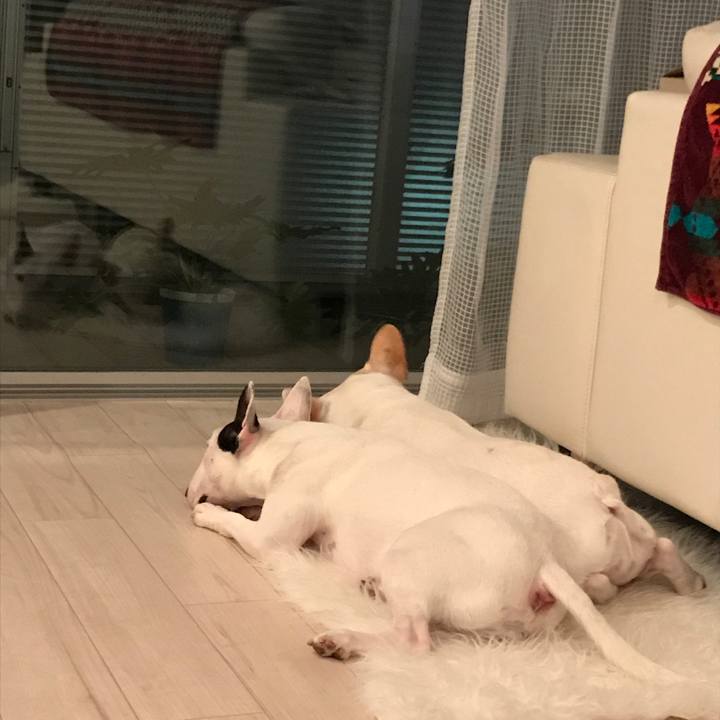 B2a74ebb 4b45 4adf 8cfe db569fa8c254