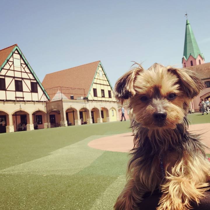 B2a77a04 7cfd 4e4a 9c4a 8cf2cb13e8d6