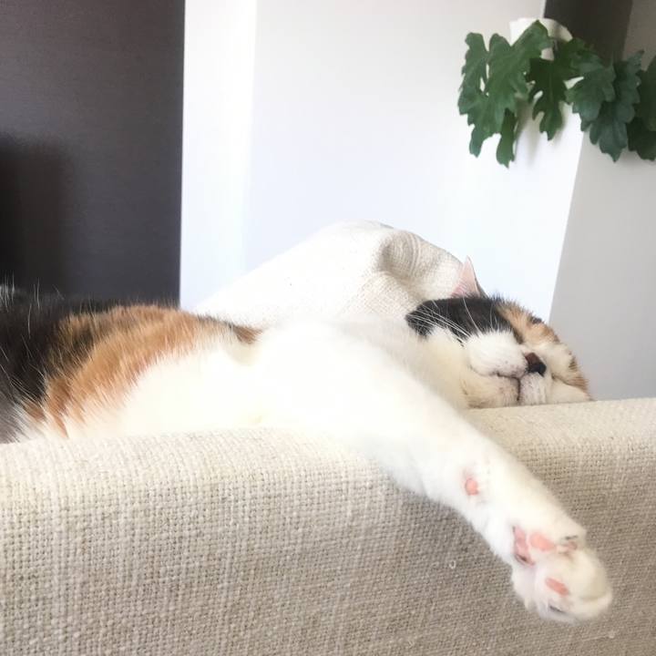 B2a7defa 3159 4cb8 b59f dfbc7556eda0