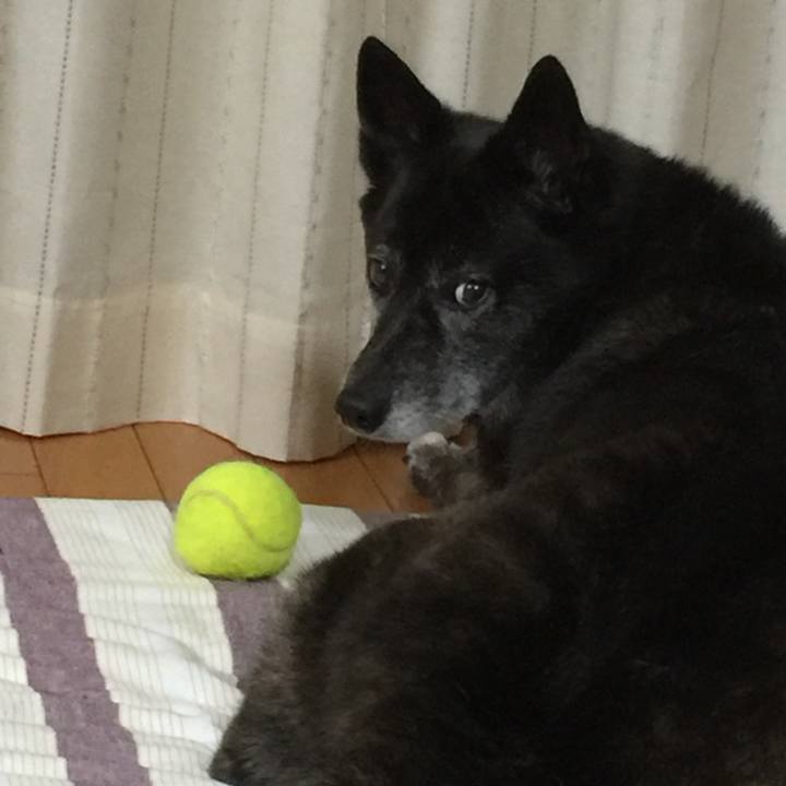 B2a87bc8 d37f 4293 bcb0 8f0b355c5aa2