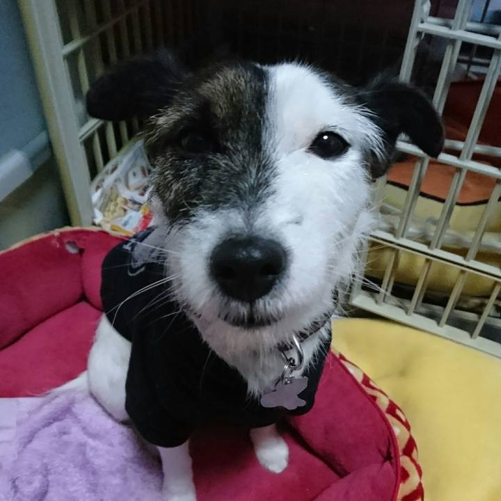 B2a88cab f028 425f 984a e6c777e5d0d7