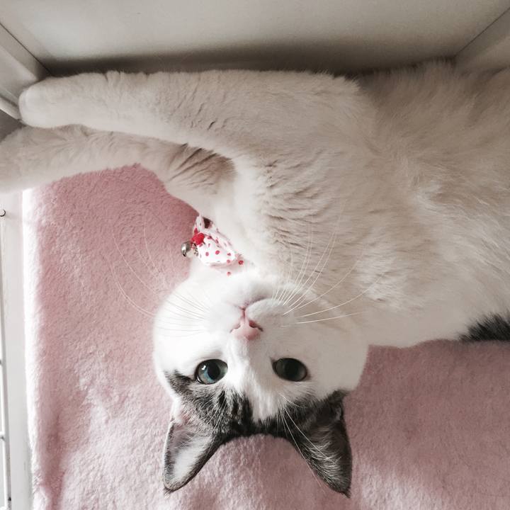 B2a8eda9 f80e 4a9c bbb6 44855a4033bb