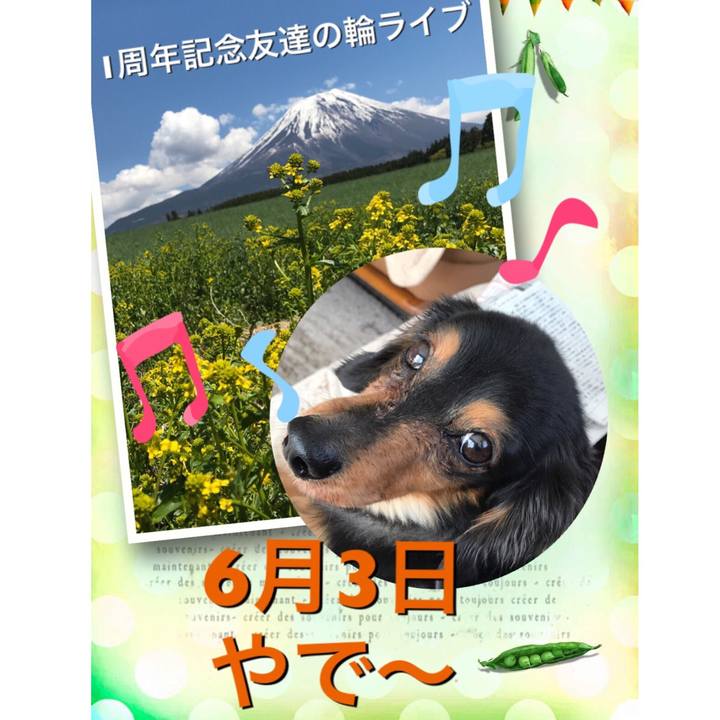 B2a934a7 e8d6 4fad be85 cc6b38b36bf5