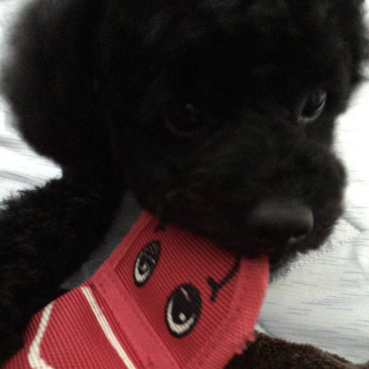 B2a95de2 725c 474f 89d2 ff3199ce5c4a