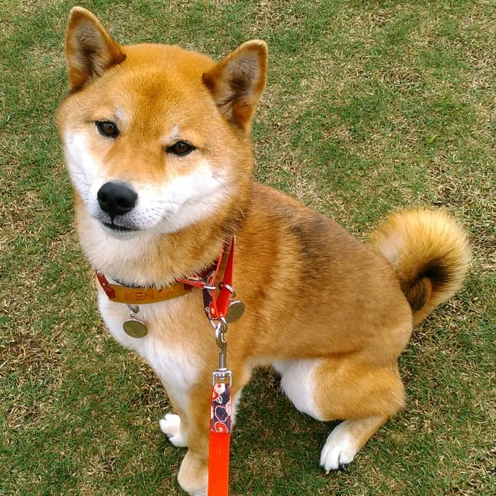 B2a98887 3bff 4878 8012 99815d28040e