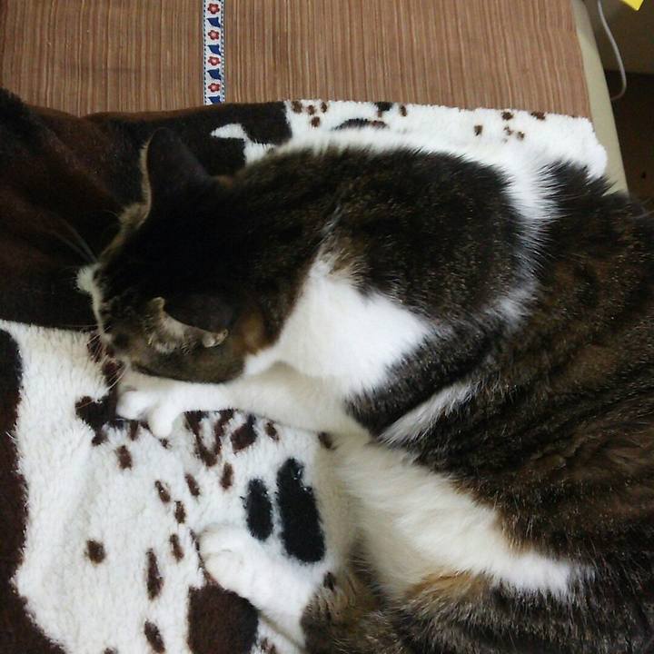 B2aa1ba9 47eb 4314 b074 d4b0ce793d2b